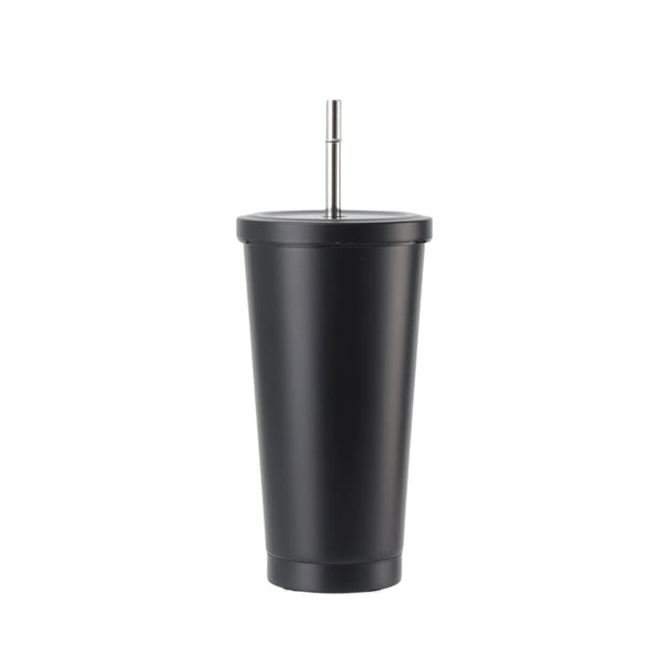 25 oz Stainless Steel Tumbler with Lid and Straw