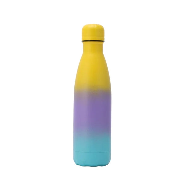Gradients 17 oz Double Wall Stainless Steel bottle with Spon