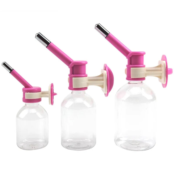 Pet Water Feeder