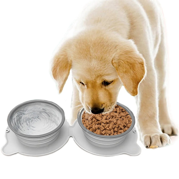 2 In 1 Foldable Pet Bowl