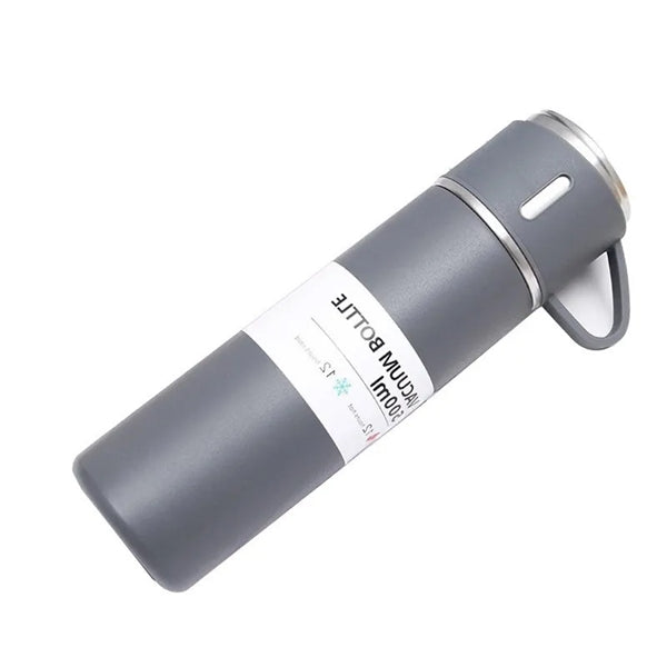 Stainless Steel 17OZ Vacuum Insulated Bottle with Cup