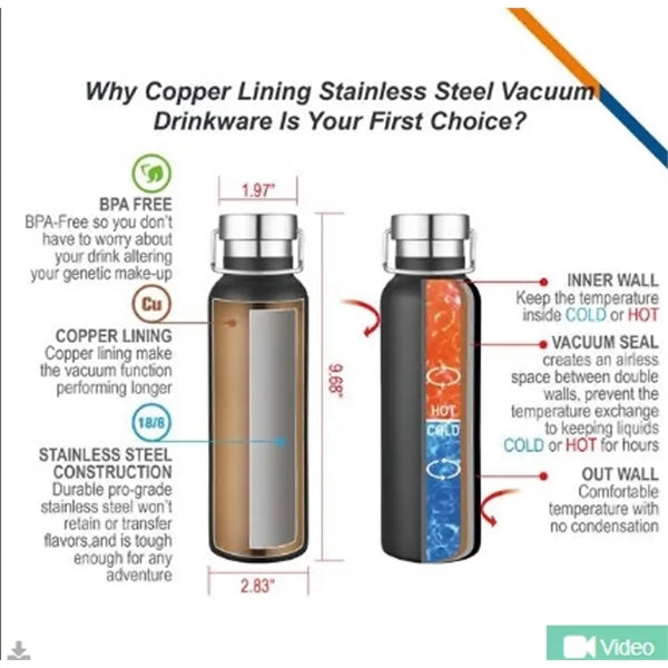 Dyno Stainless Steel Water Bottle - 20 OZ
