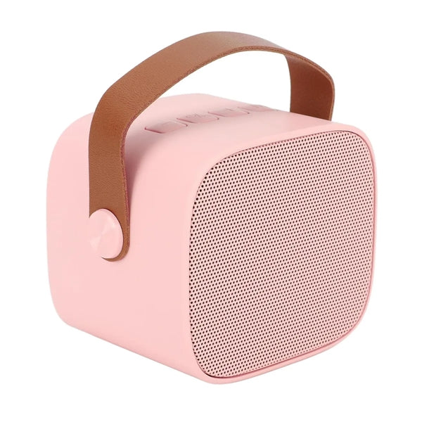 Karaoke Machine with Wireless Microphone