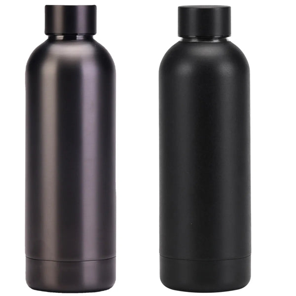 Stainless Steel Frosted Water Bottle