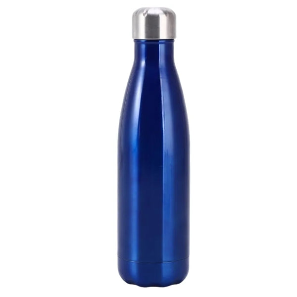 Stainless Steel 17oz. Vacuum Insulated Bottle