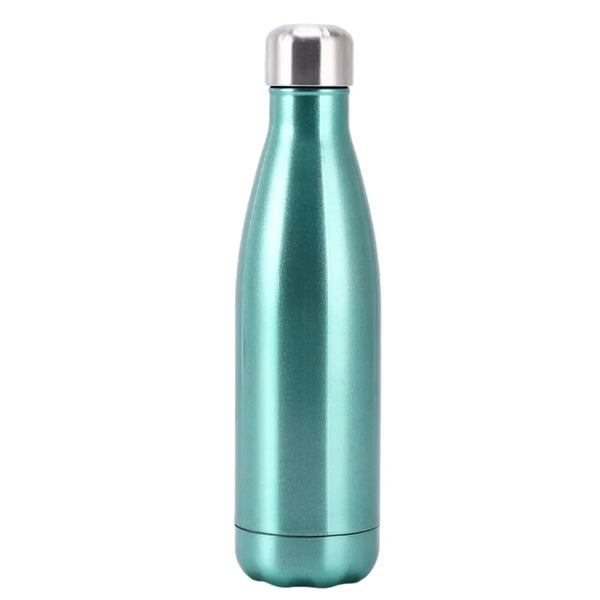 Stainless Steel 17oz. Vacuum Insulated Bottle