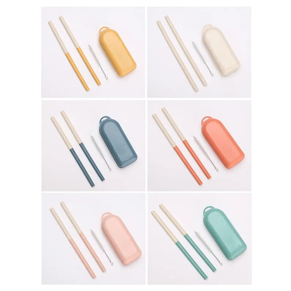 Eco-Friendly Pocket Straw Set