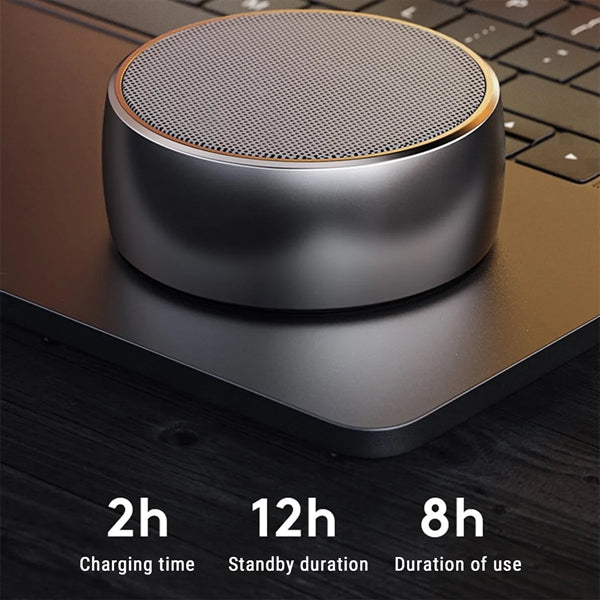 Portable Bluetooth Speakers