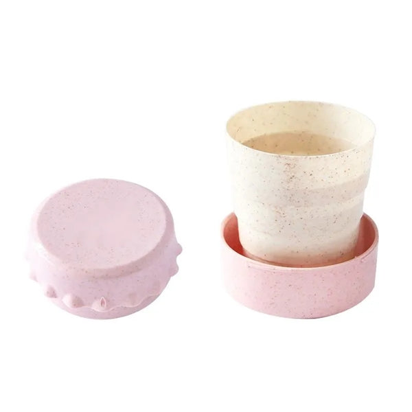 Foldable Cup