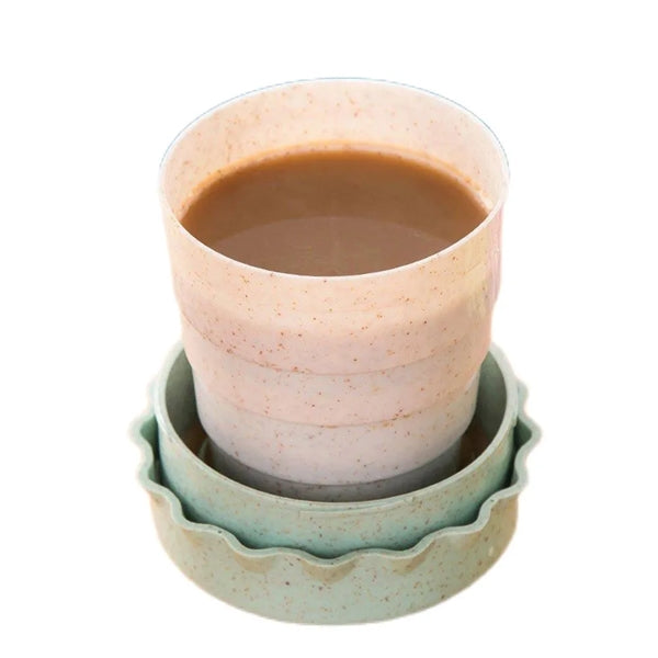 Foldable Cup