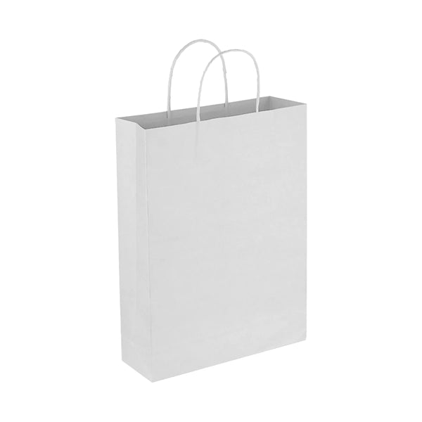 Paper Trade Show Bag