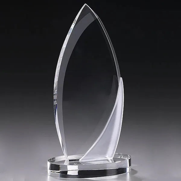 Corporate Surge Crystal Award