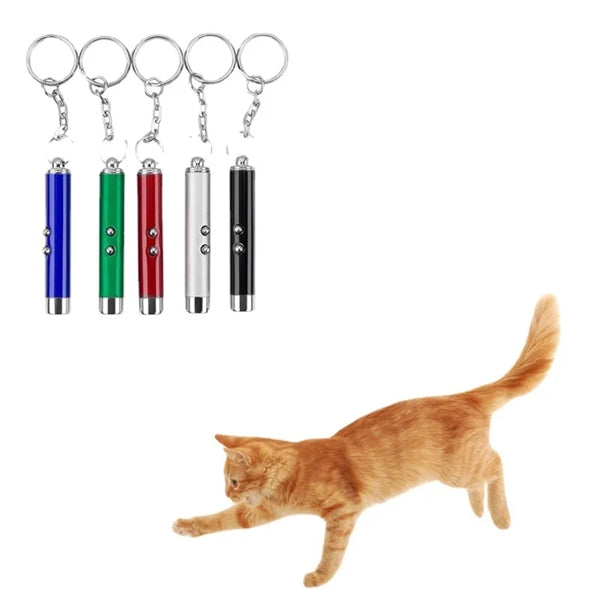 The Logo Projection Flashlight Keychain