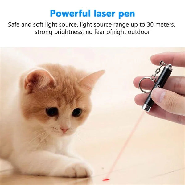 The Logo Projection Flashlight Keychain