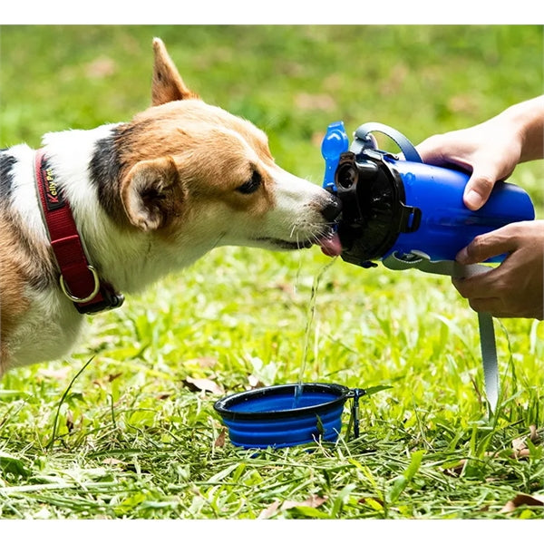Pet Food and Water Bottle With Bowl
