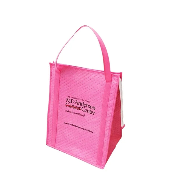 Portable Insulated Cooler Bag