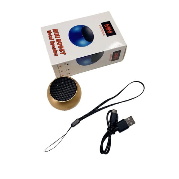 Outdoor Portable Speaker with Lanyard