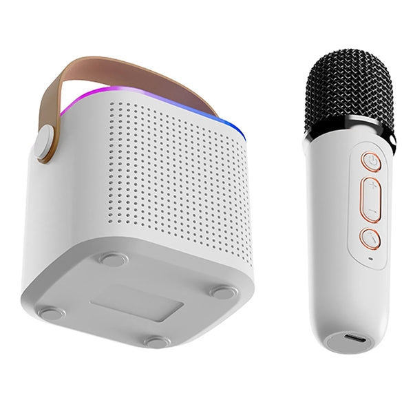 Portable Microphone and Speaker Integrated Device
