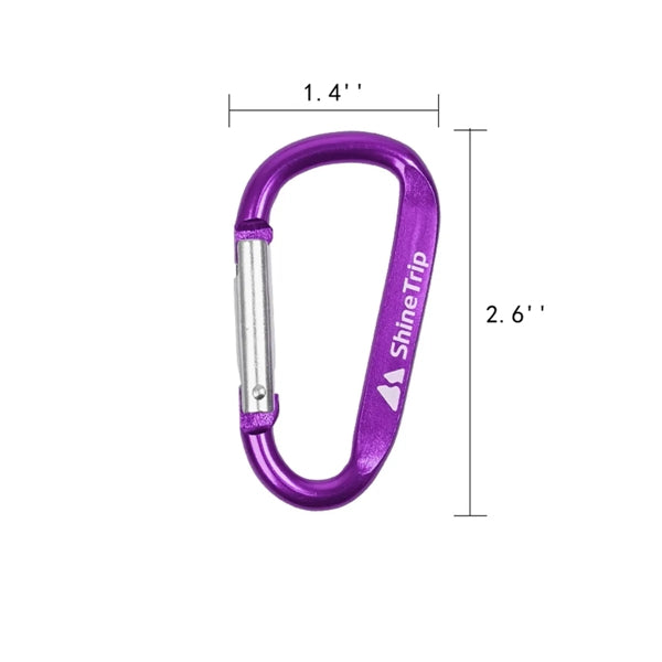 Aluminum Alloy D Ring Shape Carabiner Key Chain