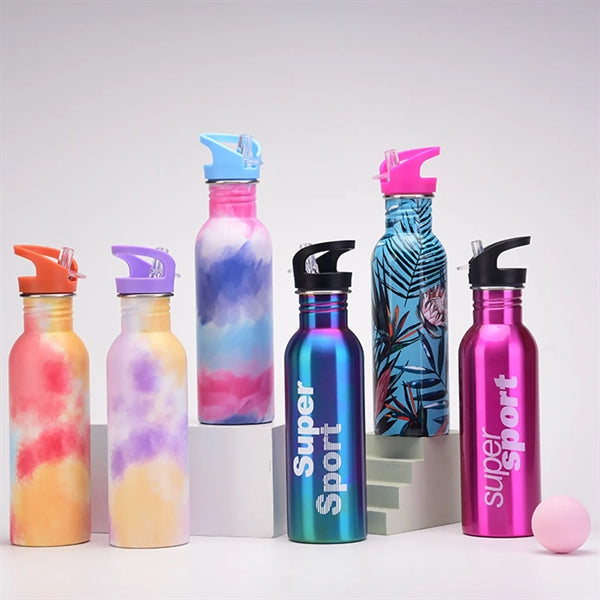 25 oz Straw Lid Insulated Stainless Steel Water Bottle