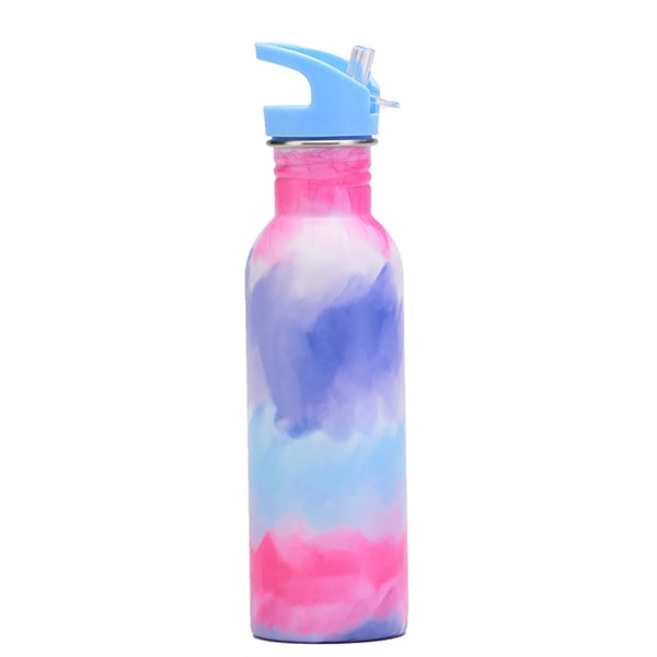 25 oz Straw Lid Insulated Stainless Steel Water Bottle