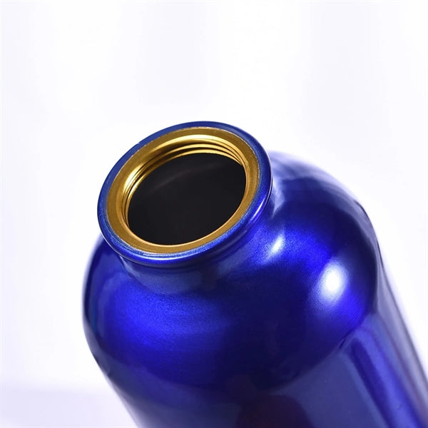 25oz Stainless Steel Sports Bottle