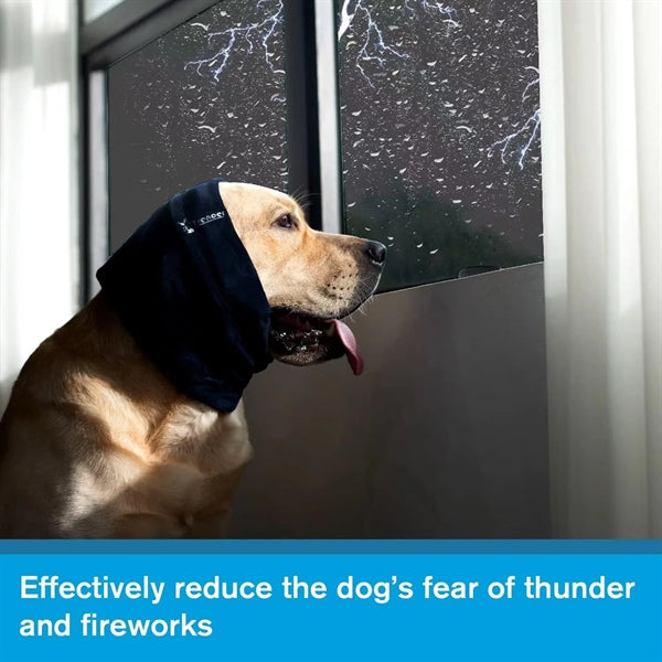 Dog Calming Hoodie