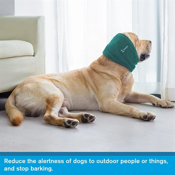 Dog Calming Hoodie