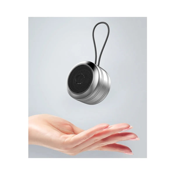 Portable Bluetooth Speaker