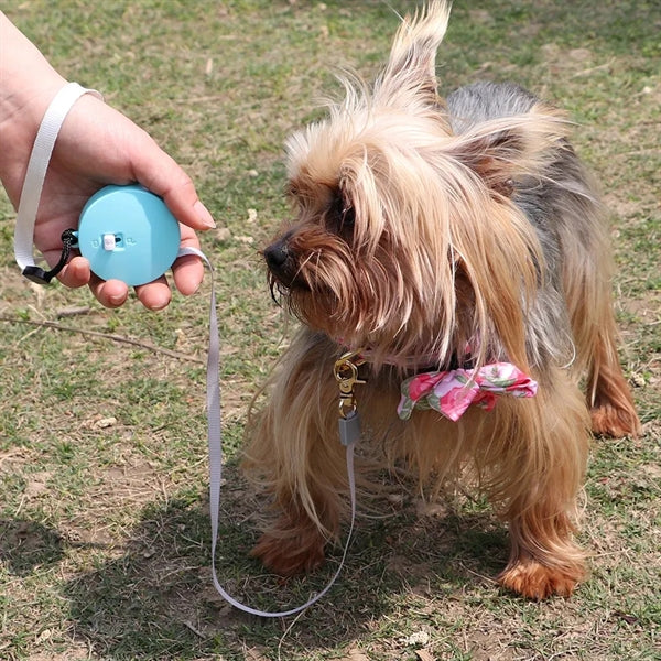 Small Dog Retractable Rope leash