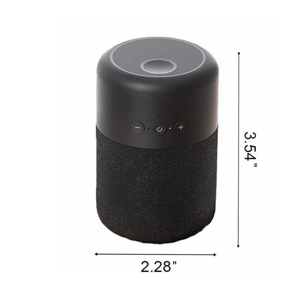 2 in 1 Portable Wireless Bluetooth Speaker and Earbuds