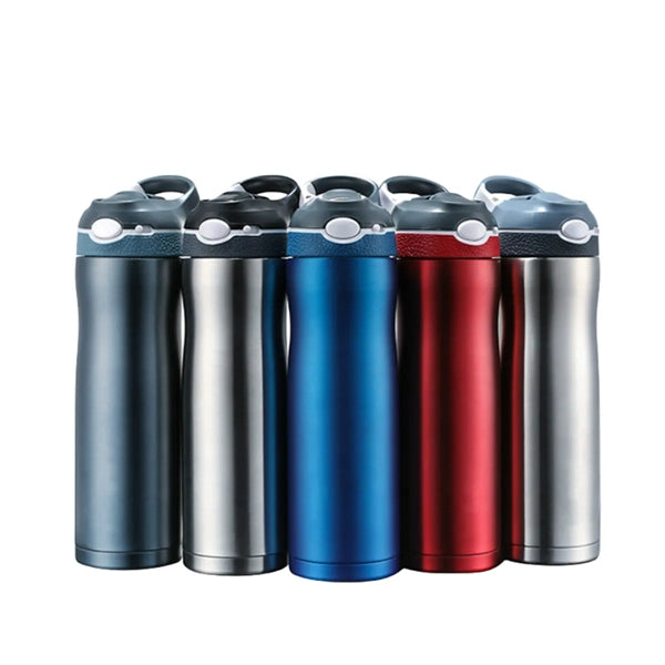 Insulated Water Bottle with Straw Lid 20 oz