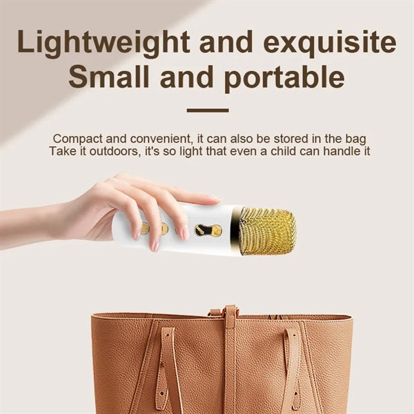 Portable Wireless Speaker With Microphone