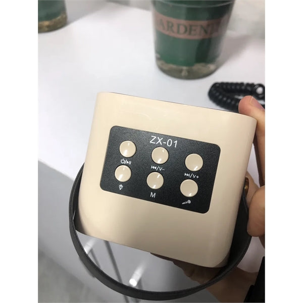 Portable Wireless Speaker With Microphone