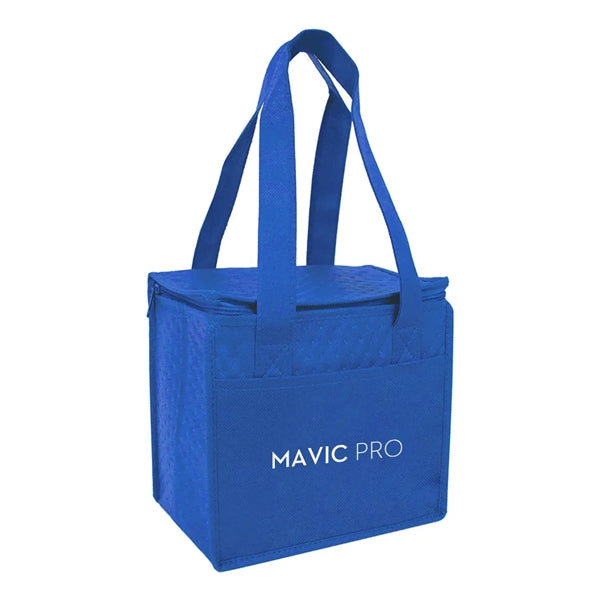 Hot/Cold Snack Cooler Bag