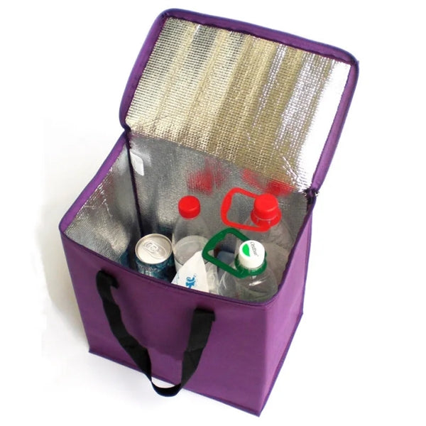 Multifunctional cooler bag