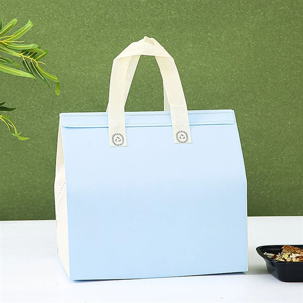 Insulated Take out Bags