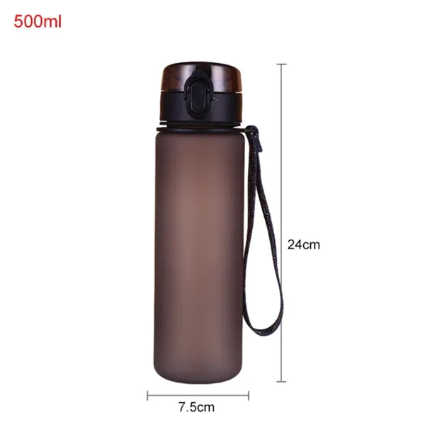 Sports Water Bottle with Spout Lid -17oz.