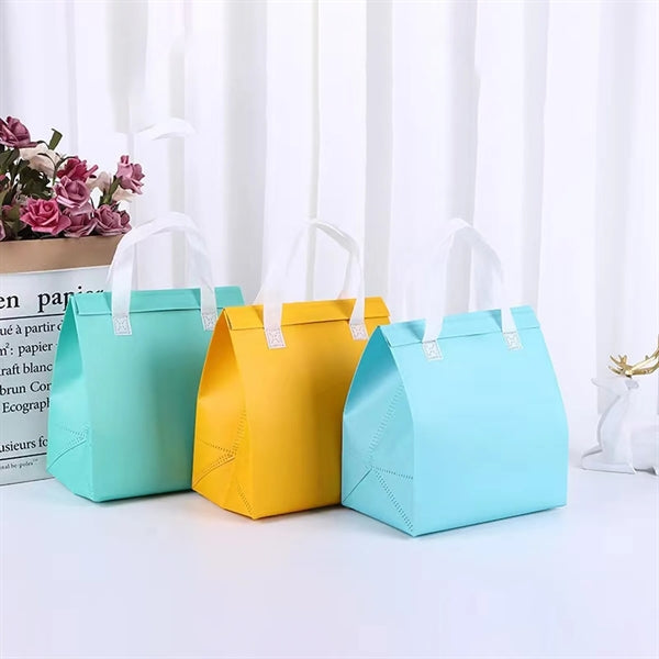 Laminated Non-woven Insulation Bag