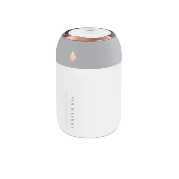 Portable Mini Humidifier