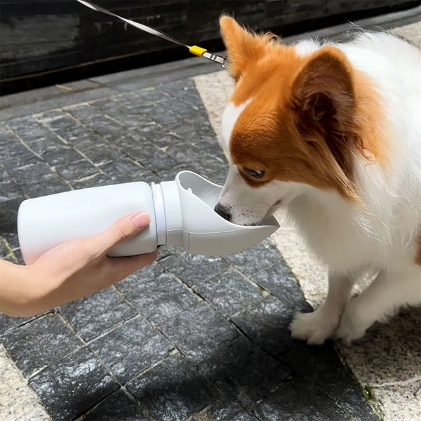 Portable Foldable Silicone Dog Water Bottle With Lanyard