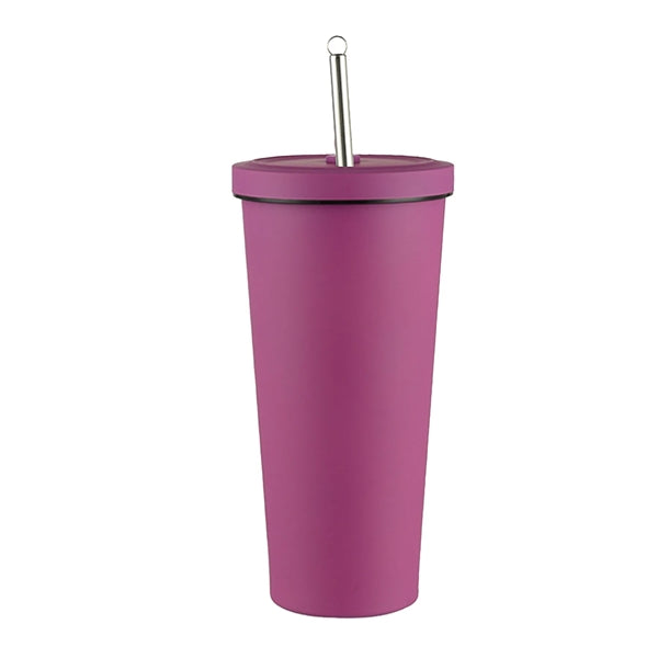Stainless Steel Double Layer Cup With Lid & Straw