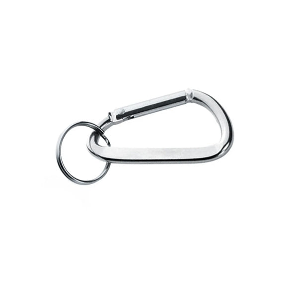 Metal Latch Carabiner Keychain