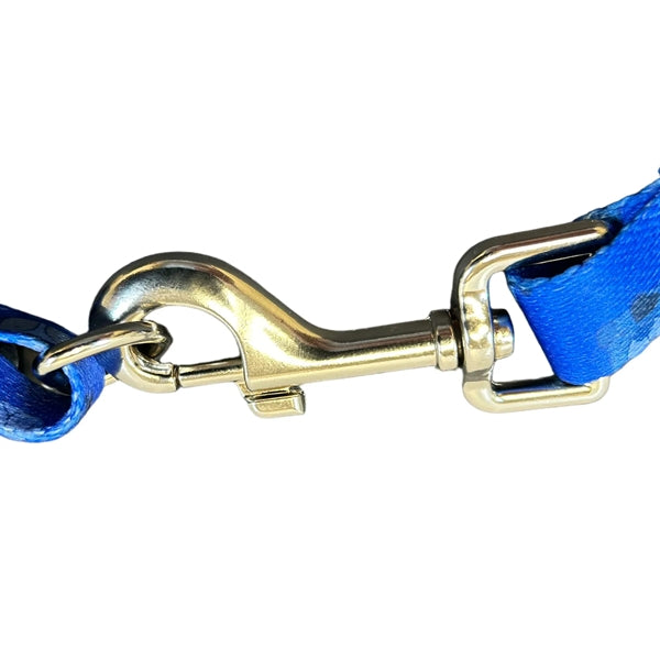 Extra Small - Medium: 5/8" Wide Dye-Sub Pet Leash - Imported