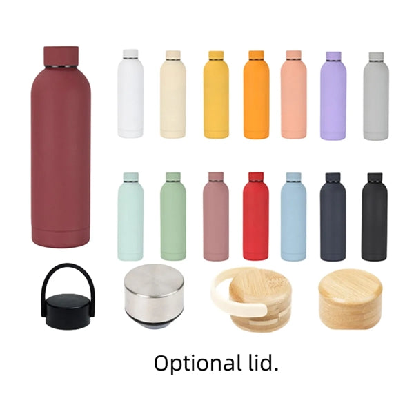 17oz Frosted Insulated Stainless Steel Water Bottle Bamboo L