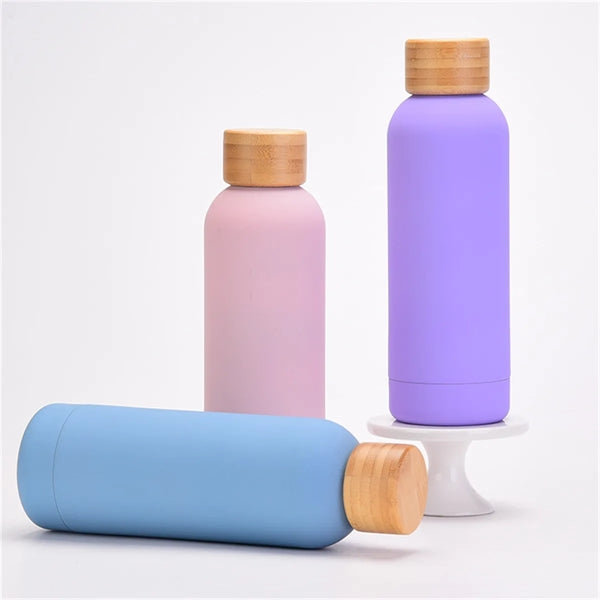 17oz Frosted Insulated Stainless Steel Water Bottle Bamboo L
