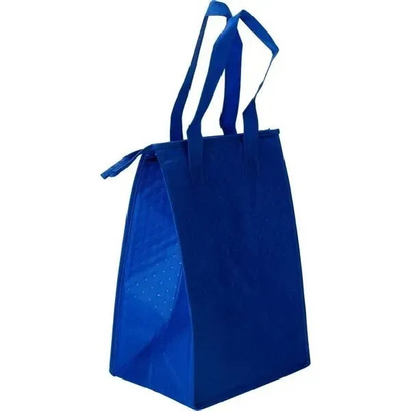 Printed Zipper Insulated Lunch Tote Bags