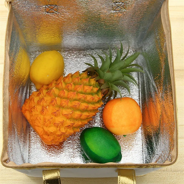 Insulated lunch cooler pizza cake carriers bag