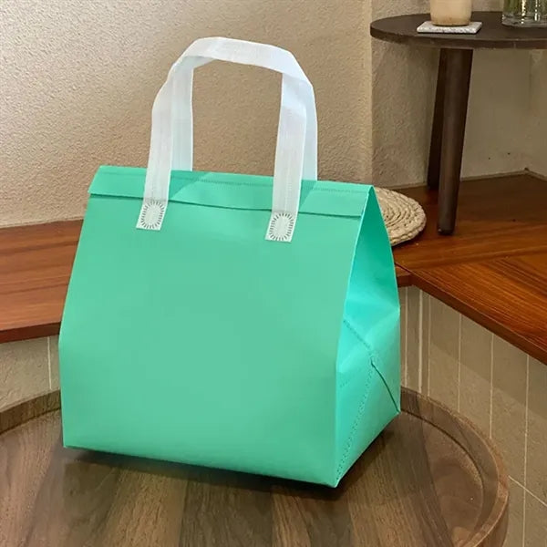 Insulated Grocery shopping Food Delivery bags Outdoors