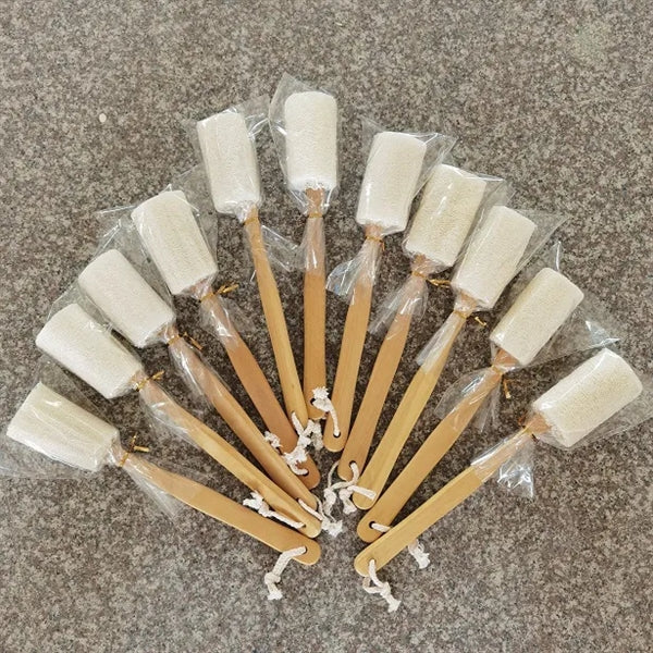 Loofah Shower Brush